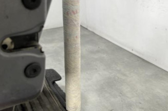Porte arriere gauche RENAULT CLIO 2