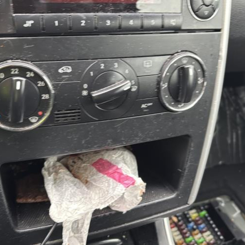 Calandre MERCEDES CLASSE A 169 Photo n°20
