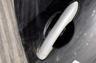 Porte arriere gauche RENAULT CLIO 3