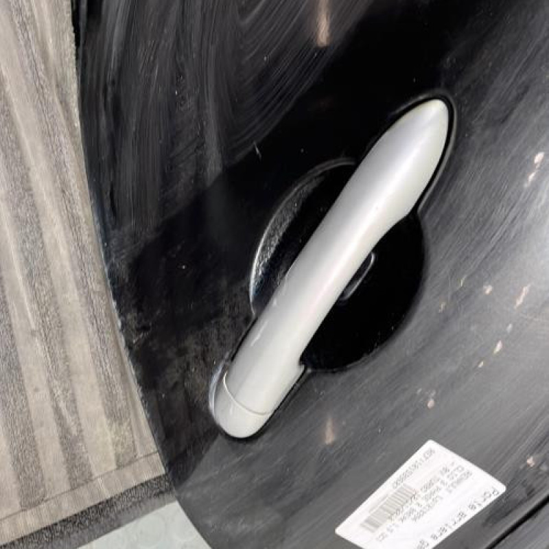 Porte arriere gauche RENAULT CLIO 3 Photo n°2