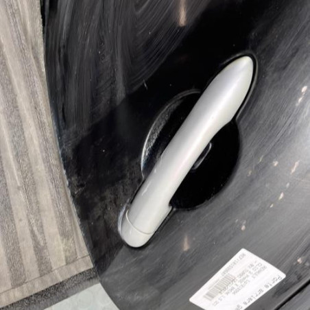 Porte arriere gauche RENAULT CLIO 3