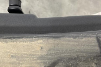 Porte arriere gauche RENAULT CLIO 3