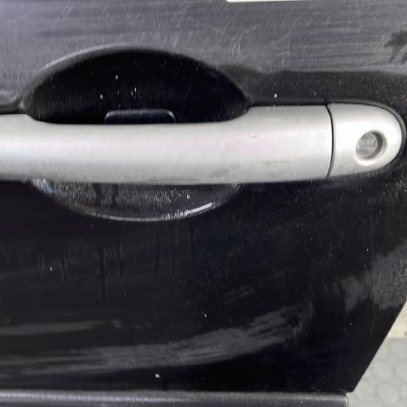 Porte avant gauche RENAULT CLIO 3 Photo n°2