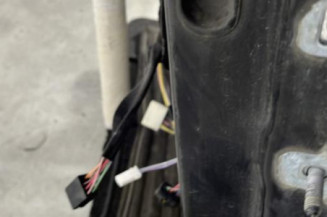 Porte avant gauche RENAULT CLIO 3