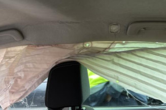 Porte avant gauche RENAULT CLIO 3