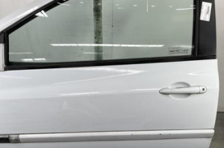 Porte avant gauche RENAULT CLIO 3 Photo n°1