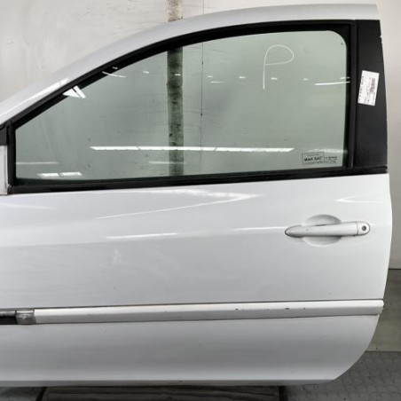 Porte avant gauche RENAULT CLIO 3 Photo n°1