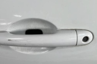 Porte avant gauche RENAULT CLIO 3