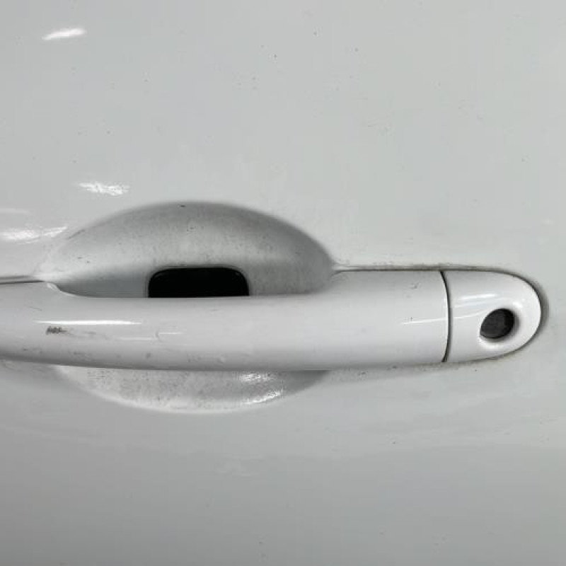 Porte avant gauche RENAULT CLIO 3 Photo n°2