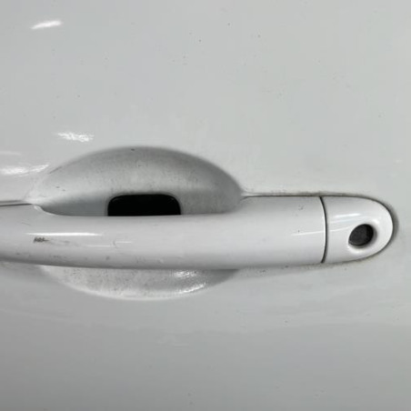 Porte avant gauche RENAULT CLIO 3