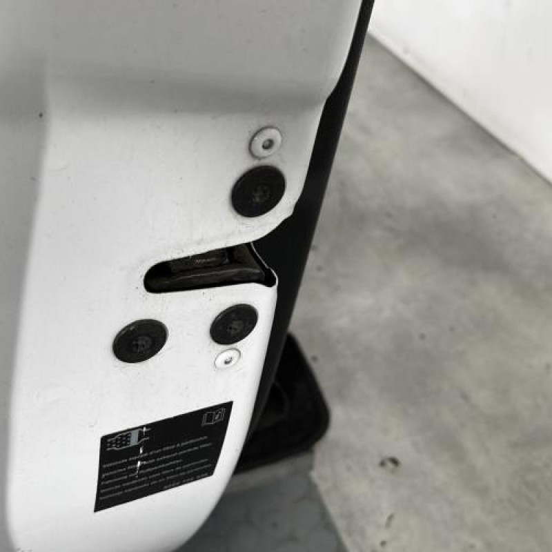 Porte avant gauche RENAULT CLIO 3 Photo n°3