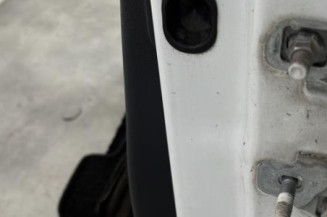 Porte avant gauche RENAULT CLIO 3