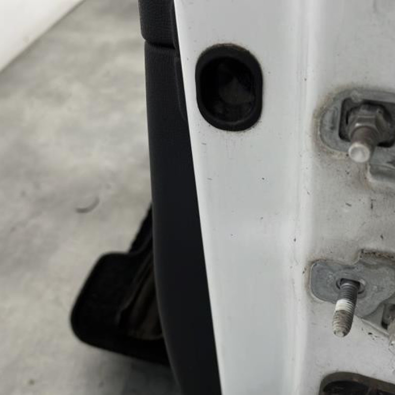 Porte avant gauche RENAULT CLIO 3 Photo n°4