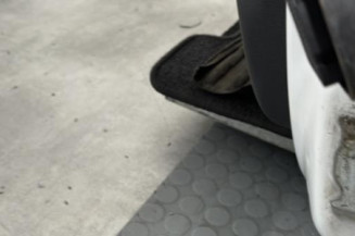 Porte avant gauche RENAULT CLIO 3