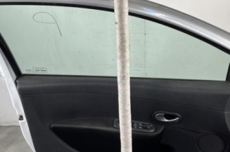 Porte avant gauche RENAULT CLIO 3