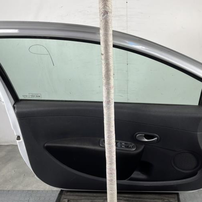 Porte avant gauche RENAULT CLIO 3 Photo n°6