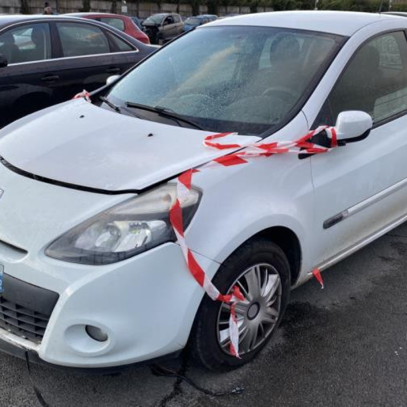 Porte avant gauche RENAULT CLIO 3 Photo n°7