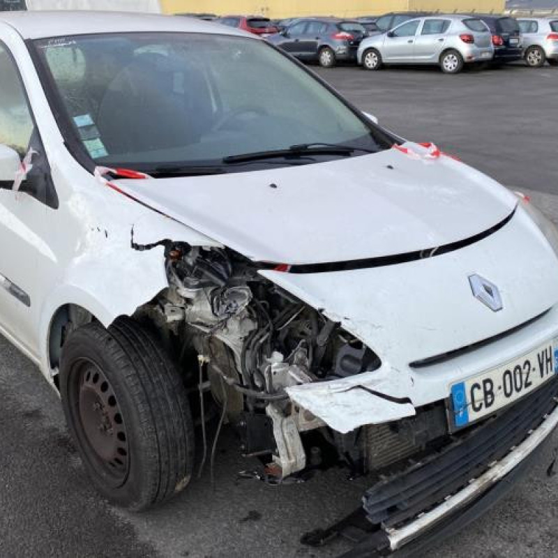 Porte avant gauche RENAULT CLIO 3 Photo n°8
