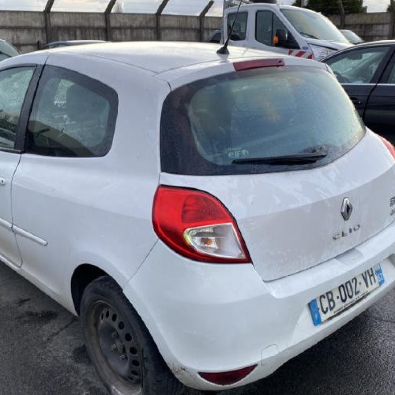Porte avant gauche RENAULT CLIO 3 Photo n°10