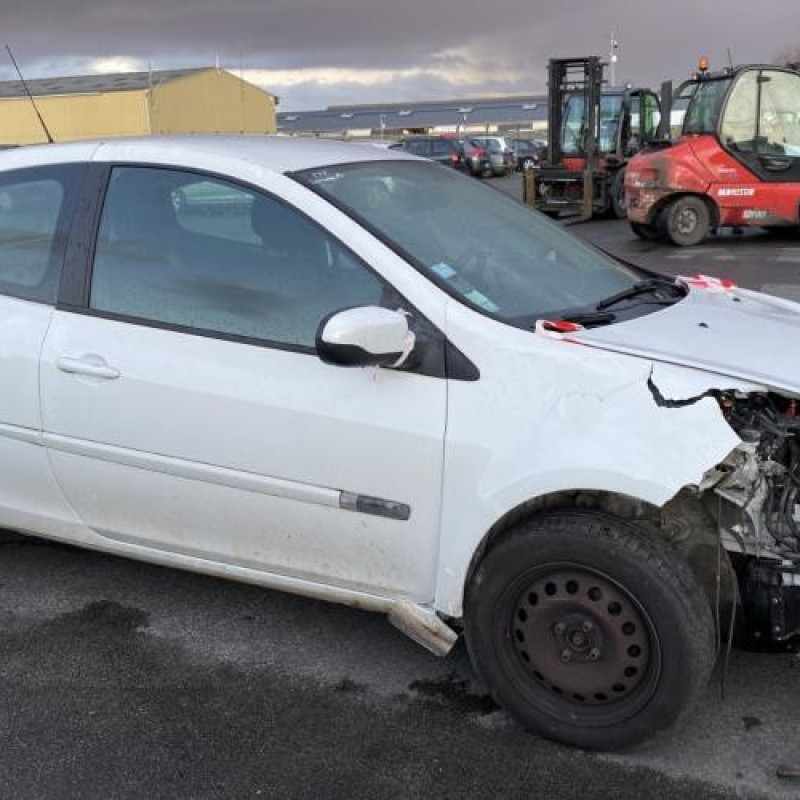Porte avant gauche RENAULT CLIO 3 Photo n°13