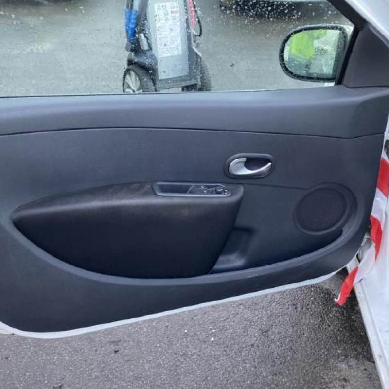 Porte avant gauche RENAULT CLIO 3 Photo n°15