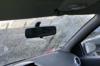 Porte avant gauche RENAULT CLIO 3