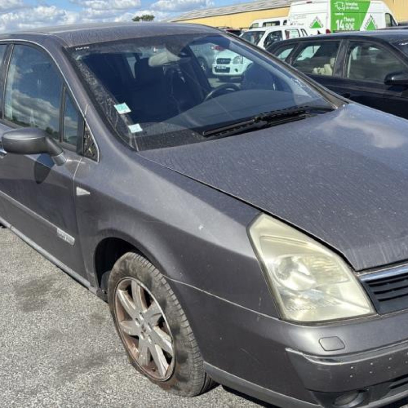 Aile avant gauche RENAULT VEL SATIS Photo n°6