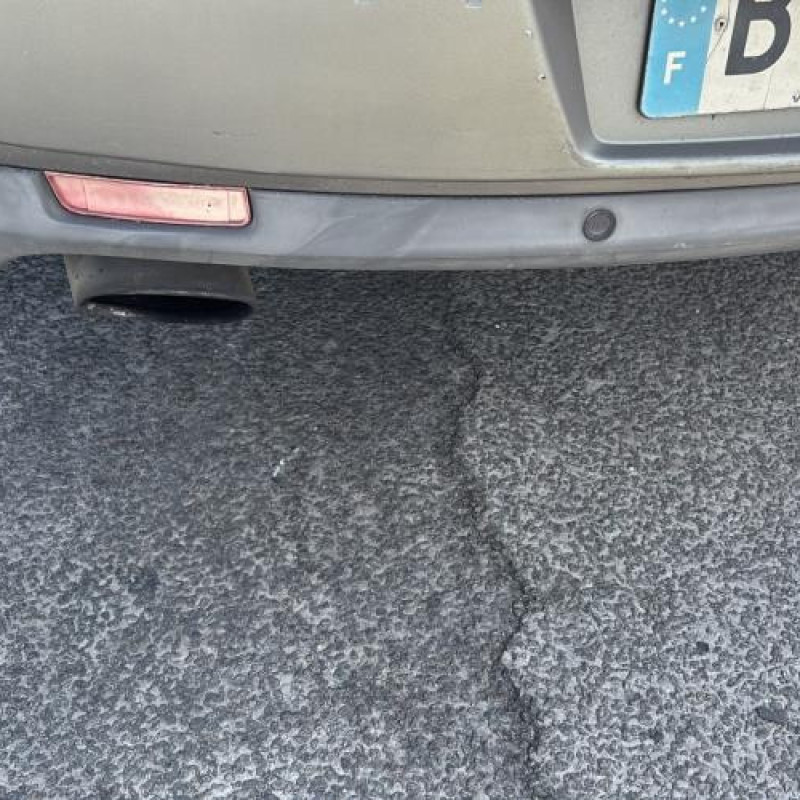Aile avant gauche RENAULT VEL SATIS Photo n°10