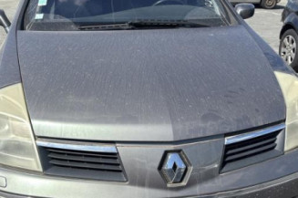 Aile avant gauche RENAULT VEL SATIS
