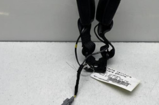 Attache ceinture arriere gauche RENAULT ARKANA Photo n°1