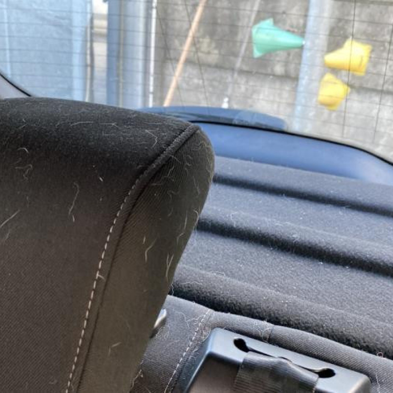 Attache ceinture arriere gauche FORD B-MAX Photo n°16