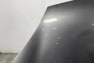 Capot RENAULT CLIO 2