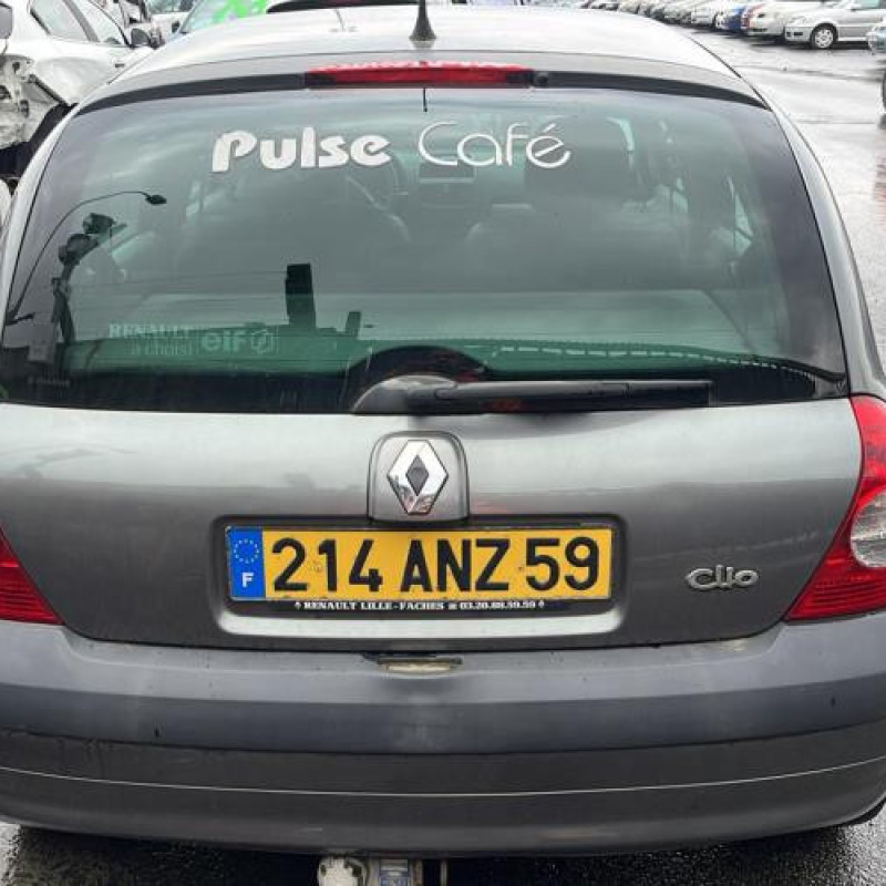 Porte arriere droit RENAULT CLIO 2 Photo n°8