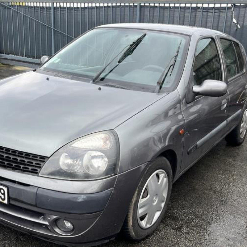 Porte arriere droit RENAULT CLIO 2 Photo n°10