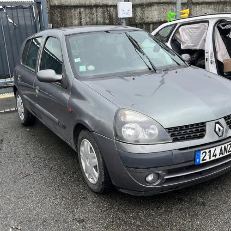 Porte arriere droit RENAULT CLIO 2 Photo n°11