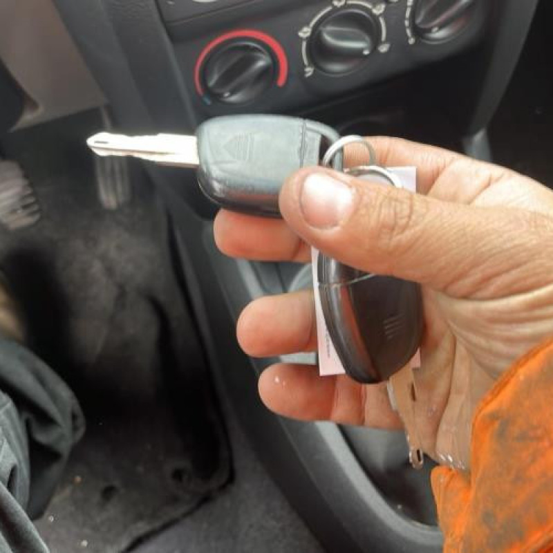 Porte arriere droit RENAULT CLIO 2 Photo n°14