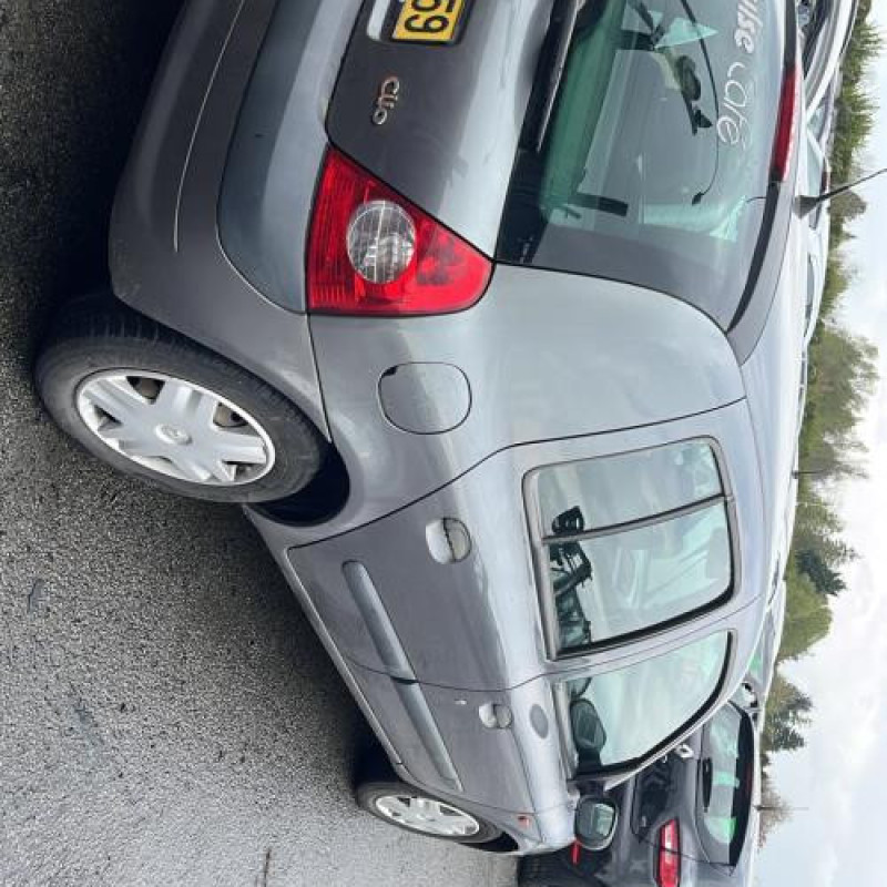 Porte arriere droit RENAULT CLIO 2 Photo n°20