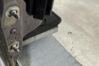 Porte avant droit RENAULT VEL SATIS
