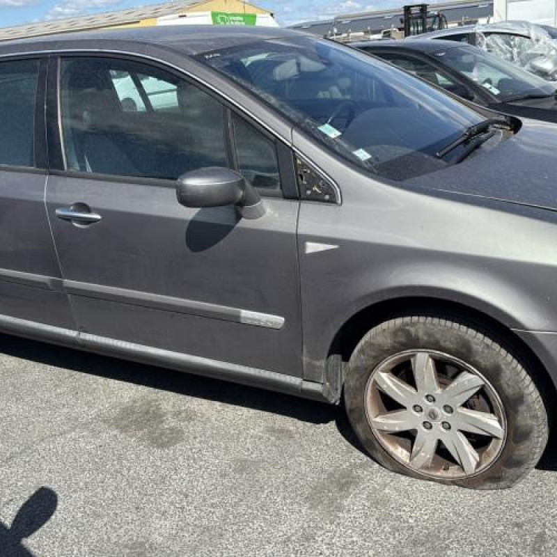 Porte avant droit RENAULT VEL SATIS Photo n°13