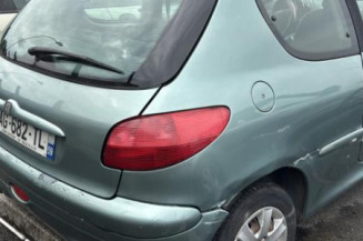 Aile avant gauche PEUGEOT 206