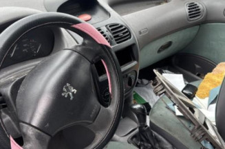 Aile avant gauche PEUGEOT 206