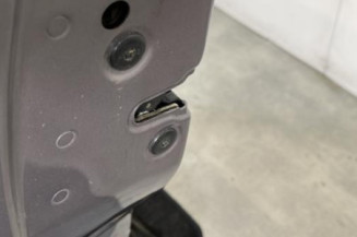 Porte avant gauche RENAULT VEL SATIS