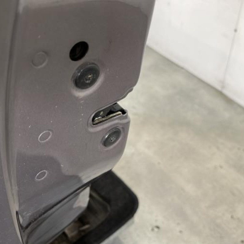 Porte avant gauche RENAULT VEL SATIS Photo n°3