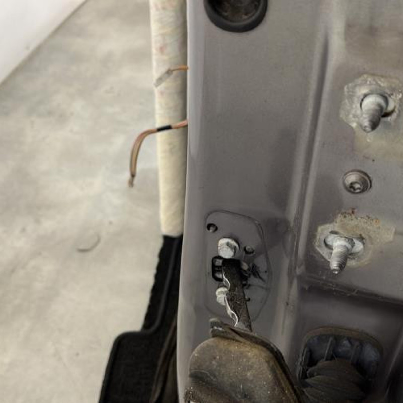 Porte avant gauche RENAULT VEL SATIS Photo n°4
