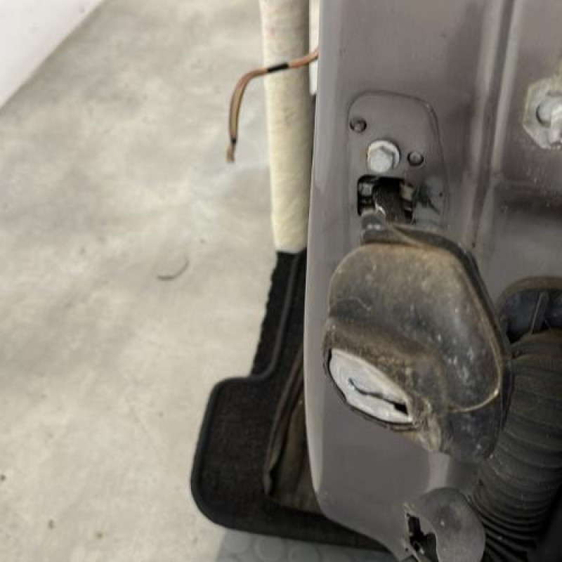 Porte avant gauche RENAULT VEL SATIS Photo n°5