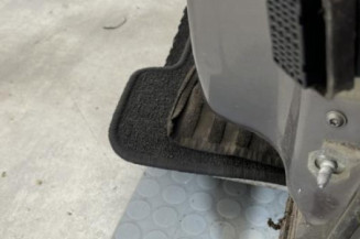 Porte avant gauche RENAULT VEL SATIS