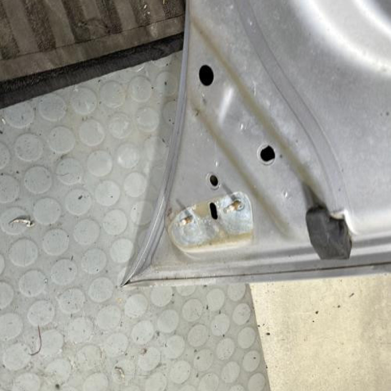 Capot CITROEN C3 PLURIEL Photo n°8