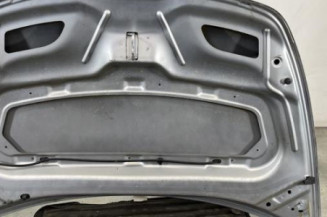 Capot CITROEN C3 PLURIEL