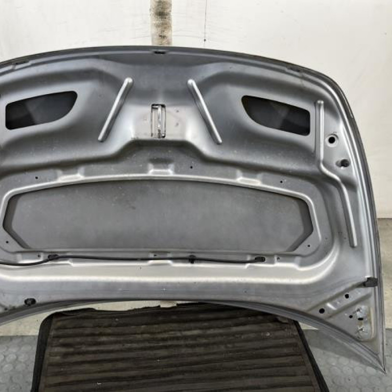 Capot CITROEN C3 PLURIEL Photo n°9