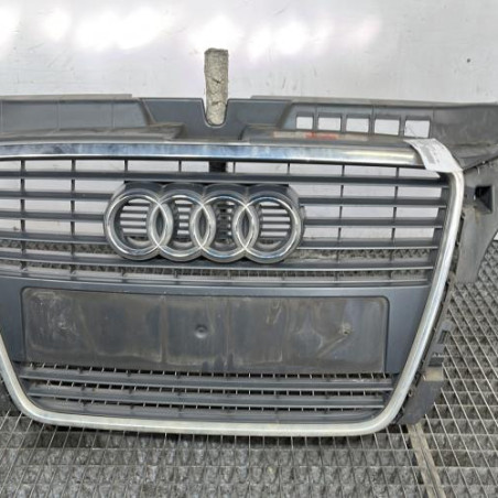 Calandre AUDI A3 2 Photo n°1
